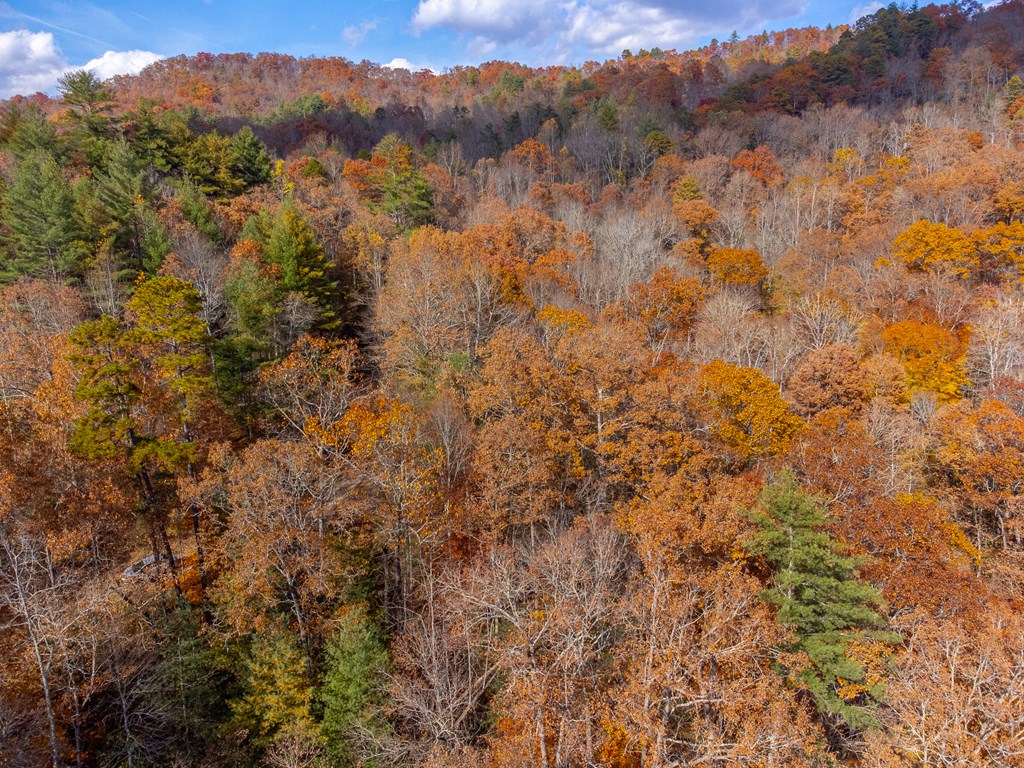 Lot 24 Rivers Edge