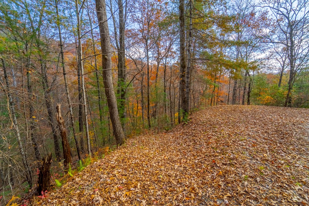 Lot 24 Rivers Edge