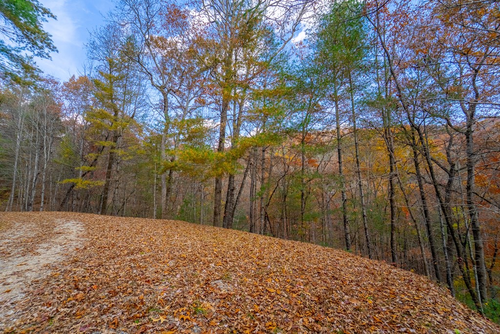 Lot 24 Rivers Edge