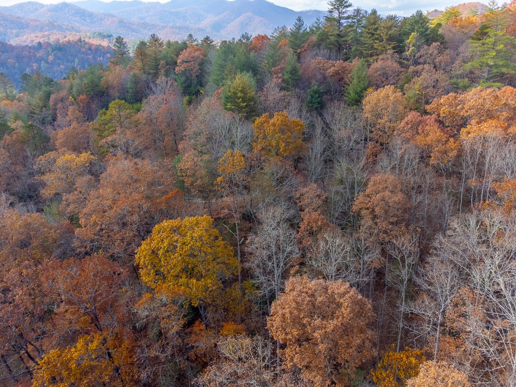 Lot 24 Rivers Edge