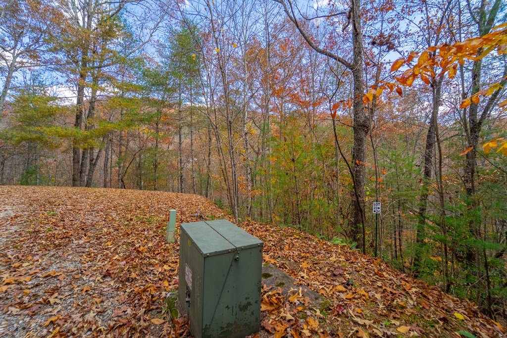 Lot 24 Rivers Edge