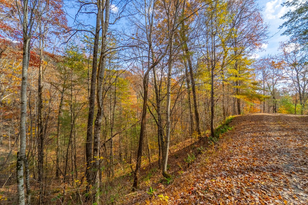 Lot 24 Rivers Edge