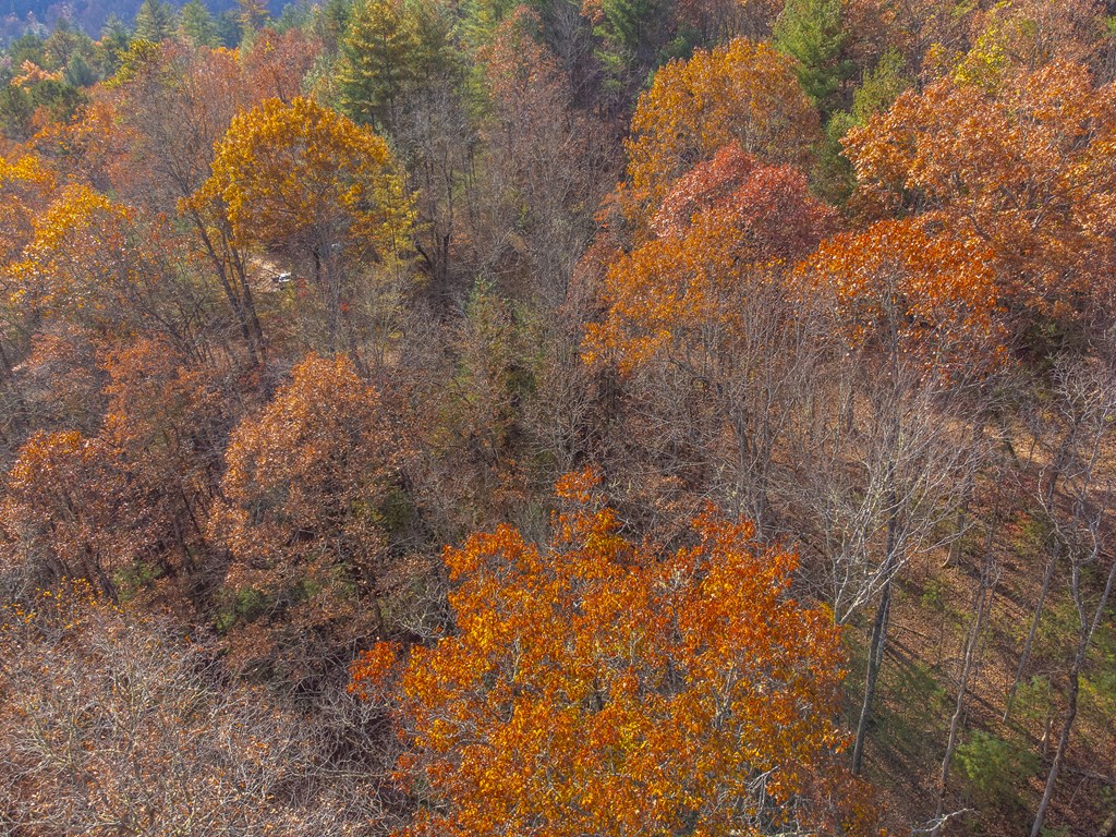 Lot 24 Rivers Edge