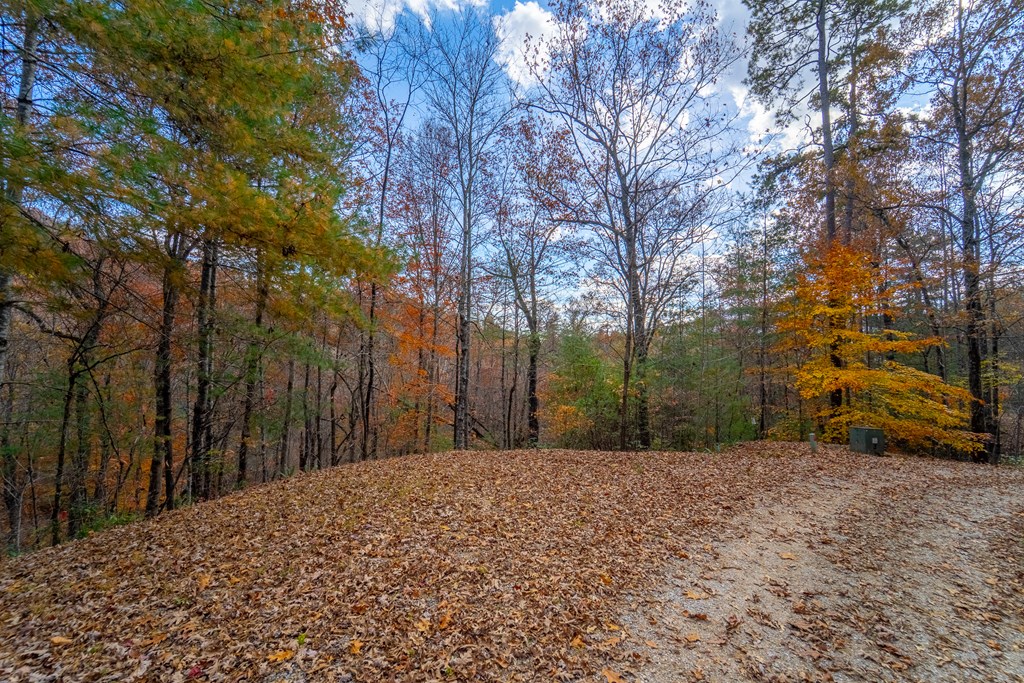 Lot 24 Rivers Edge