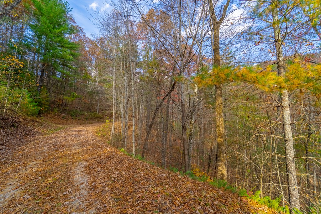 Lot 24 Rivers Edge