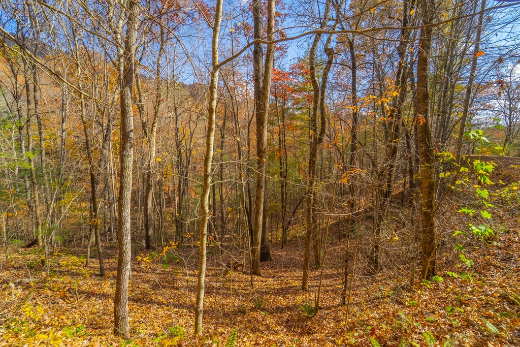 Lot 24 Rivers Edge