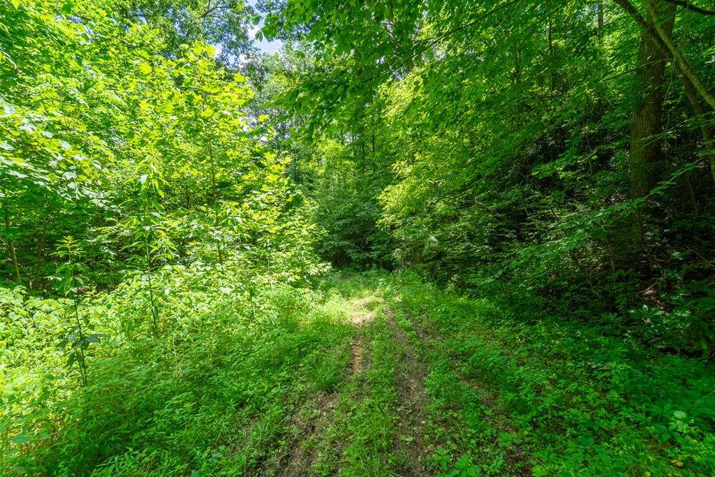 TBD Indian Flats Dr