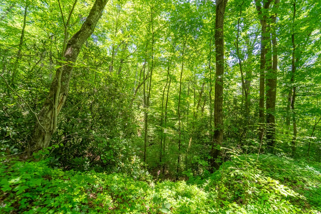 TBD Indian Flats Dr