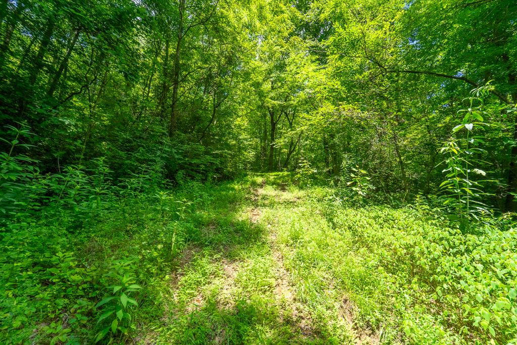 TBD Indian Flats Dr