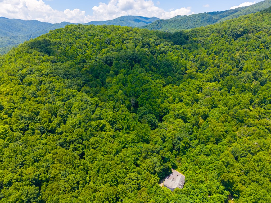 TBD Indian Flats Dr