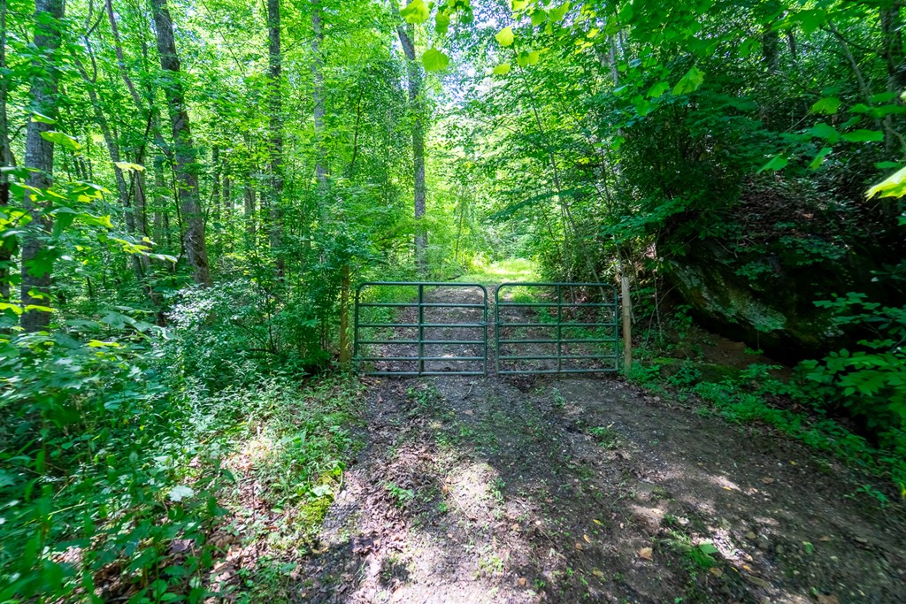 TBD Indian Flats Dr