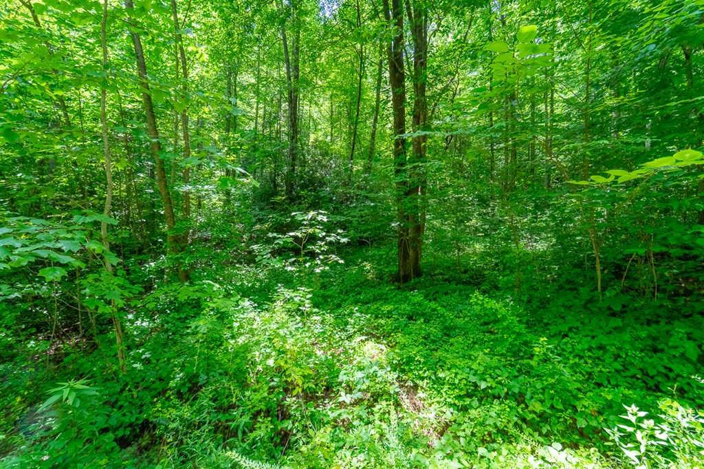 TBD Indian Flats Dr