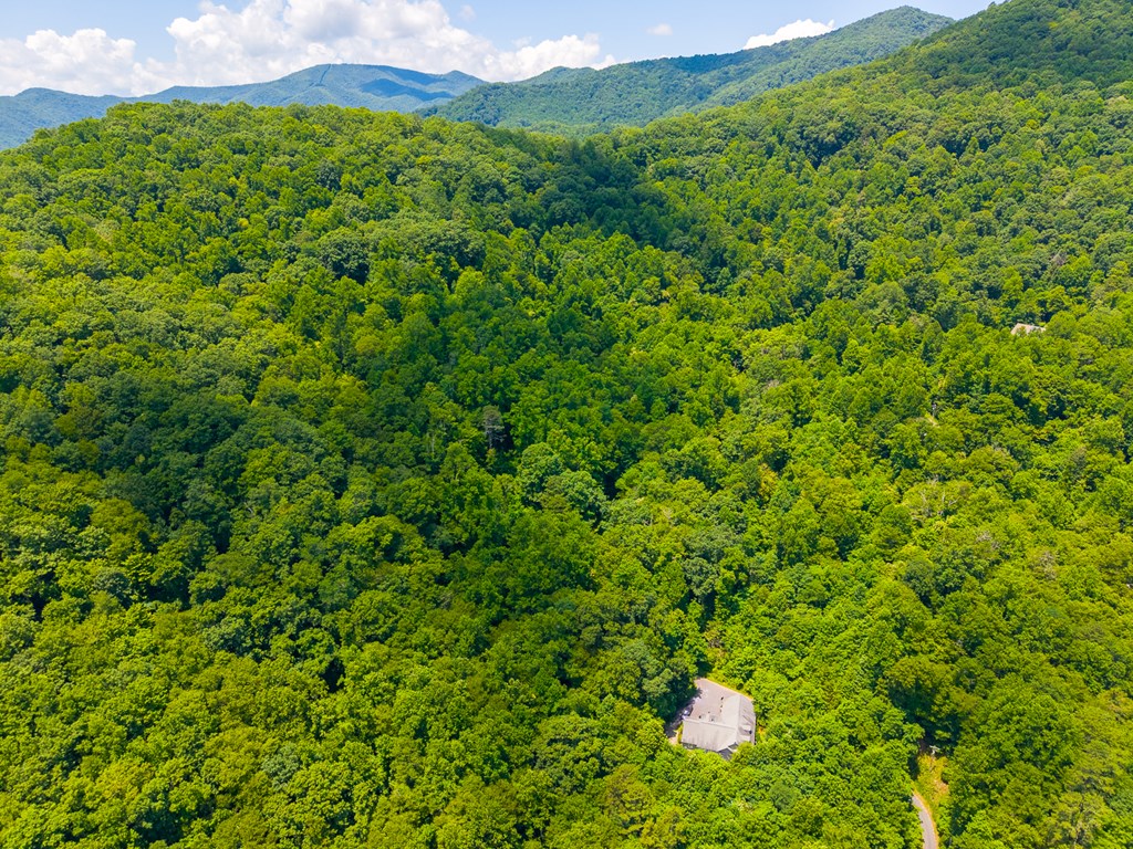 TBD Indian Flats Dr