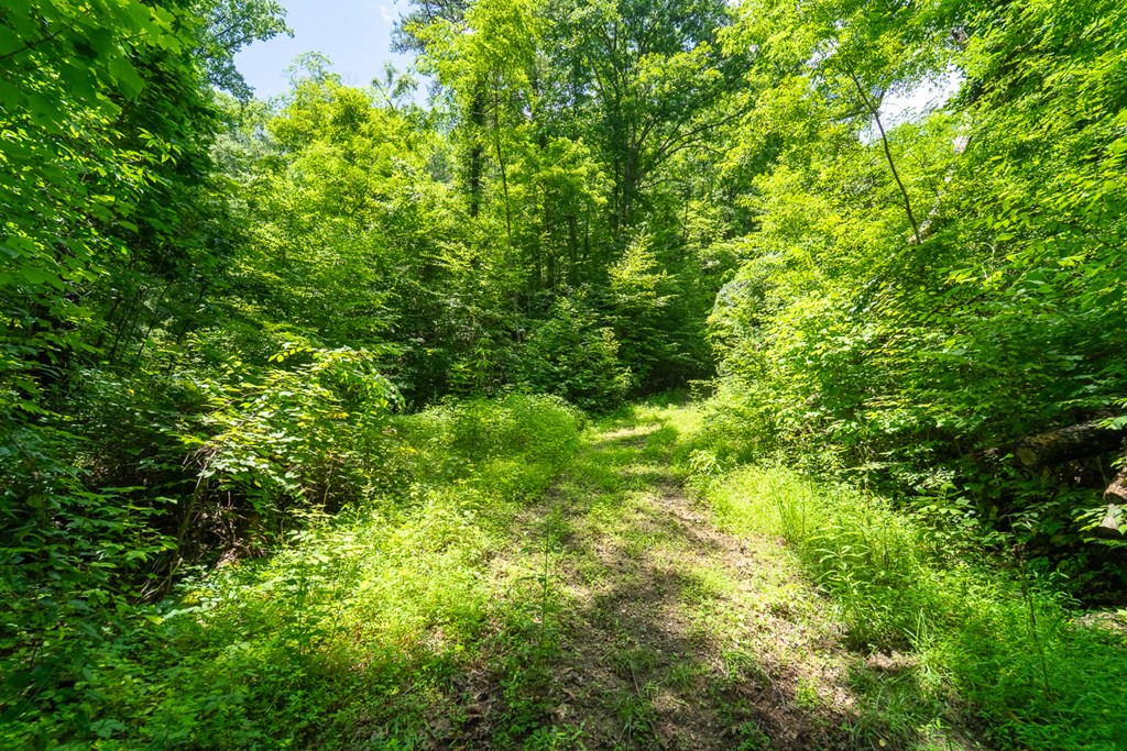 TBD Indian Flats Dr