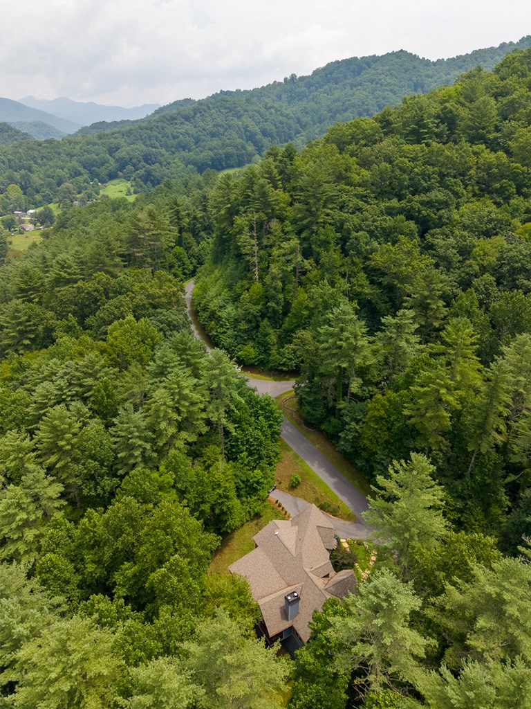 491 Rustling Woods Trail