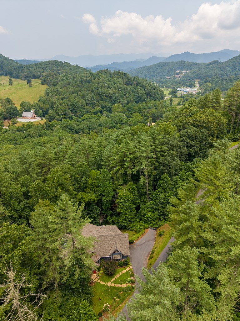 491 Rustling Woods Trail