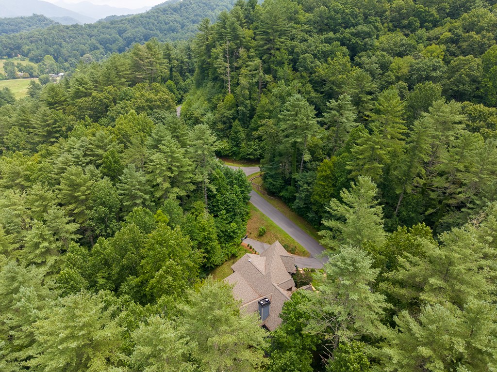 491 Rustling Woods Trail