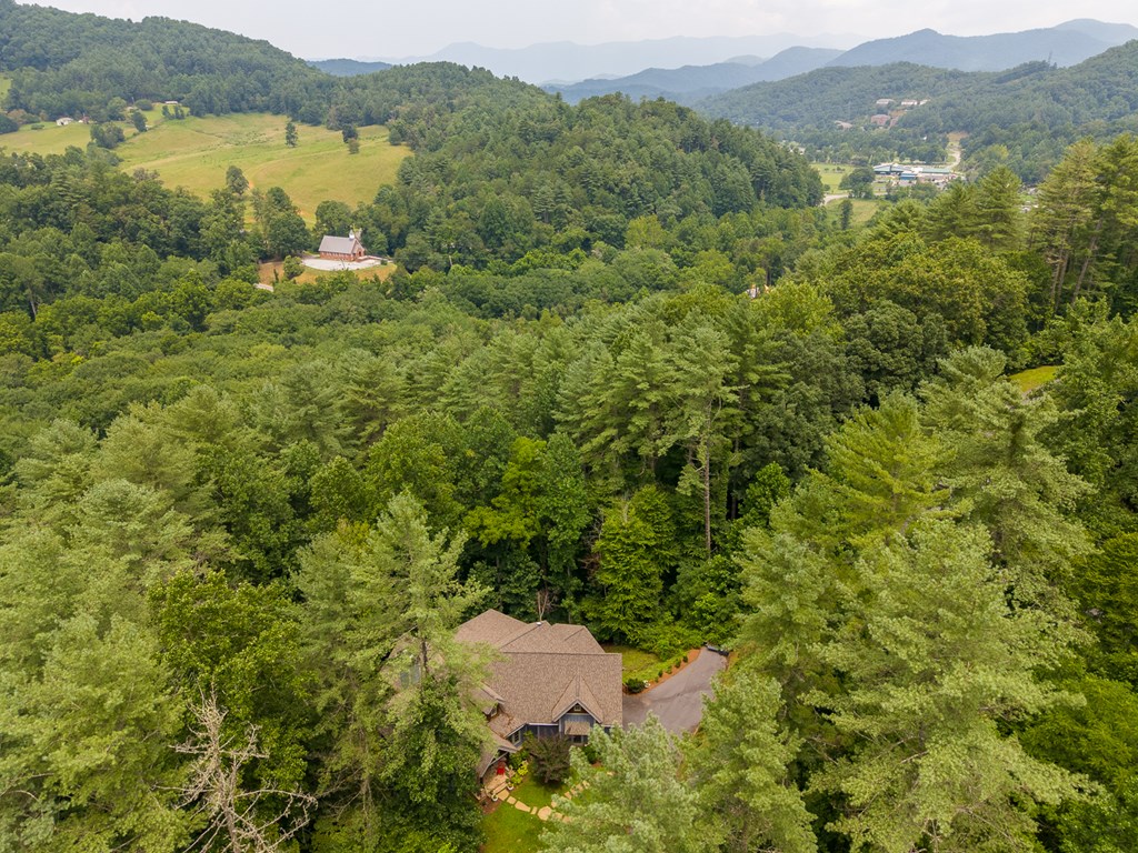 491 Rustling Woods Trail