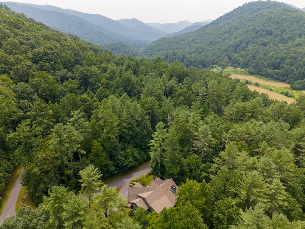491 Rustling Woods Trail