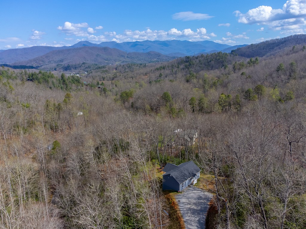 254 Ivory Lane