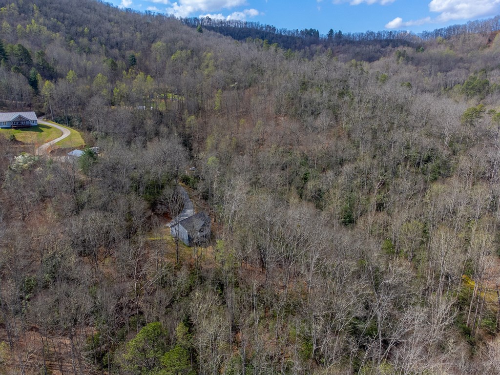 254 Ivory Lane