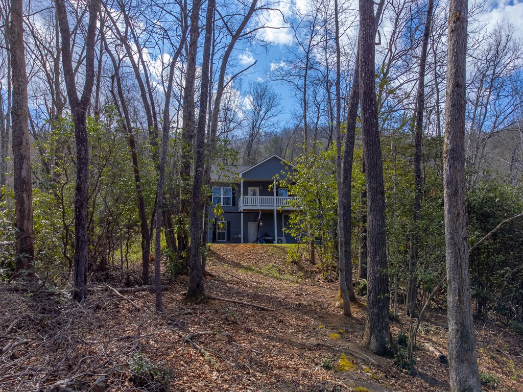 254 Ivory Lane