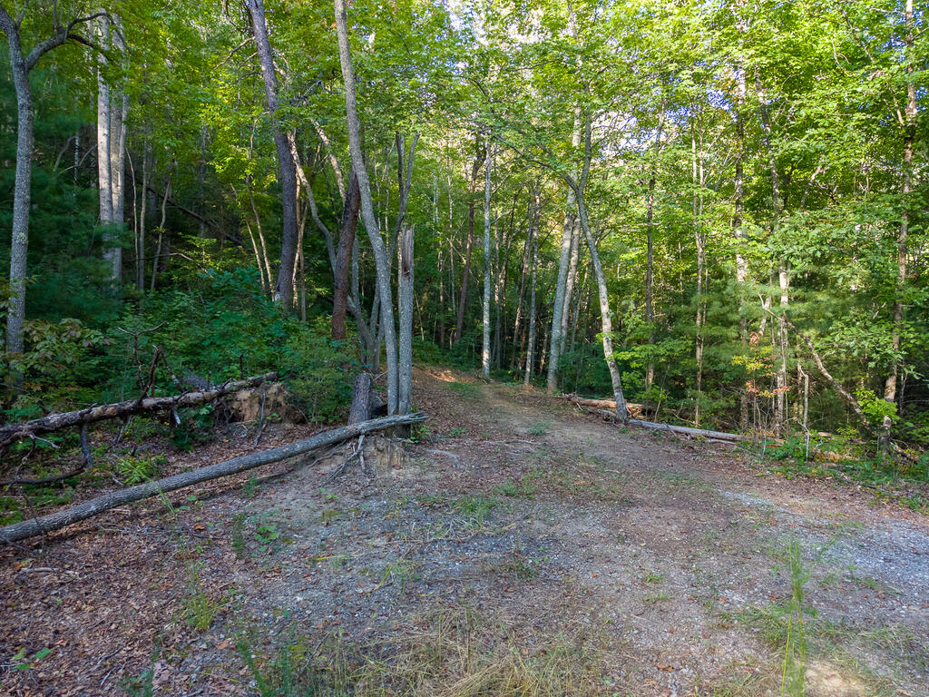 4017 Canada Rd
