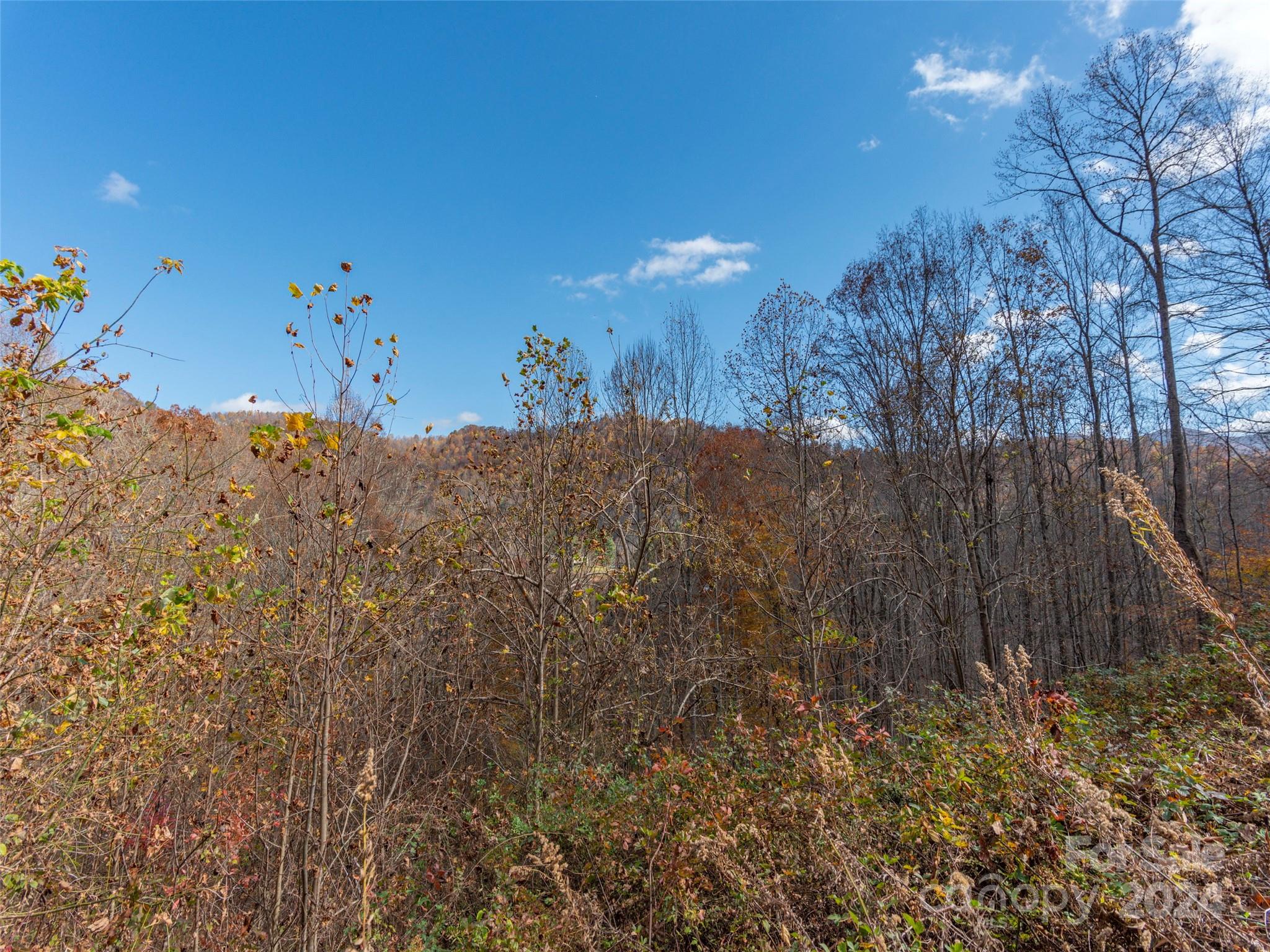 Lot 5 McNary Drive