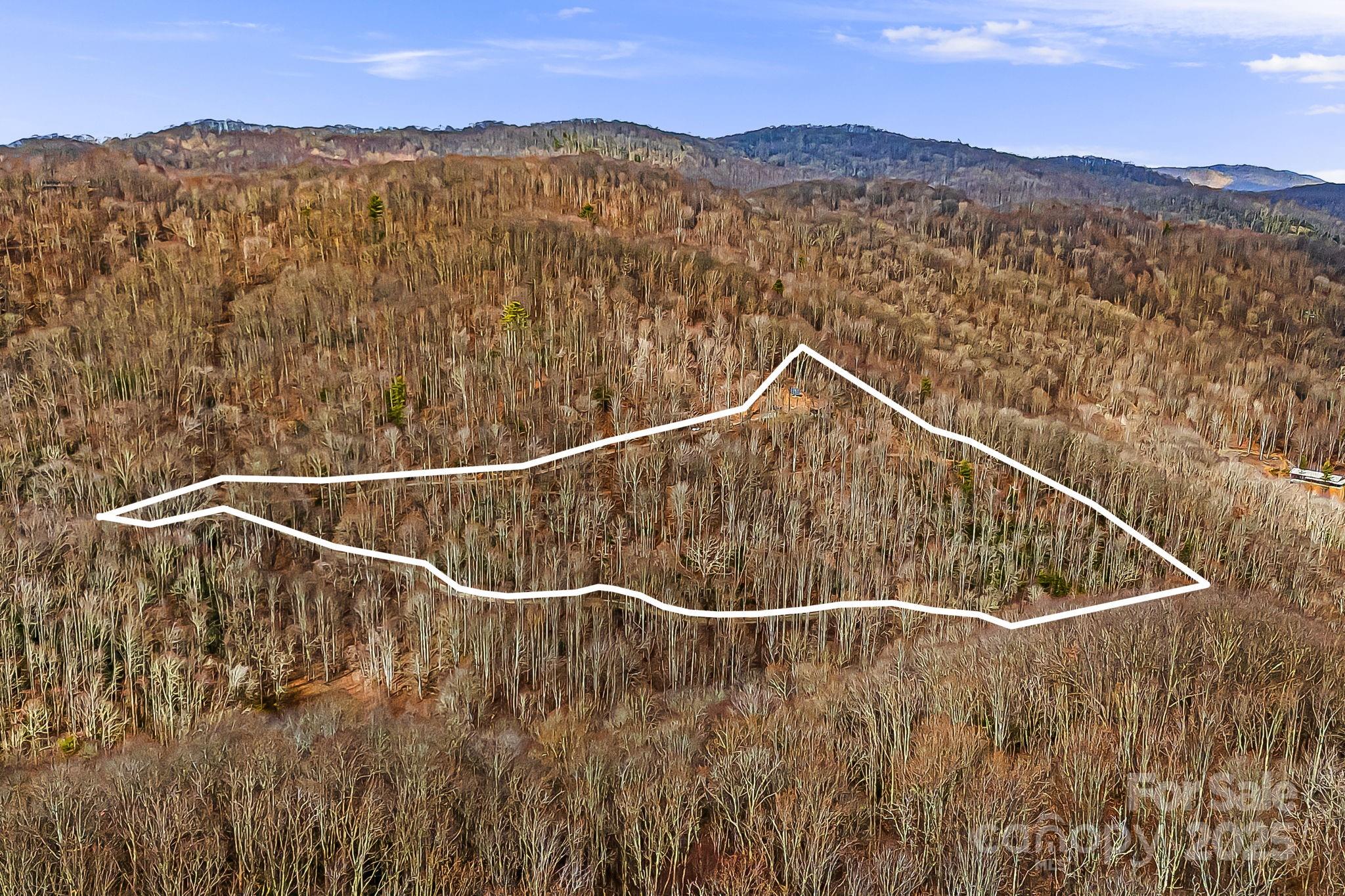 10120 Meadow Fork Road