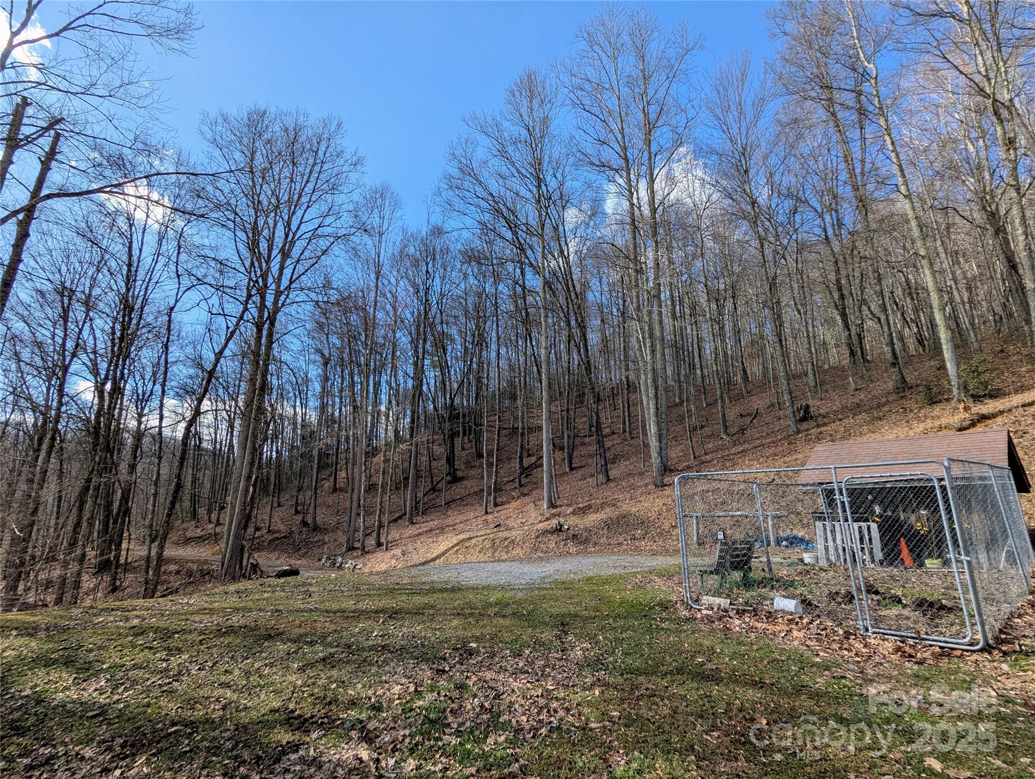 10120 Meadow Fork Road