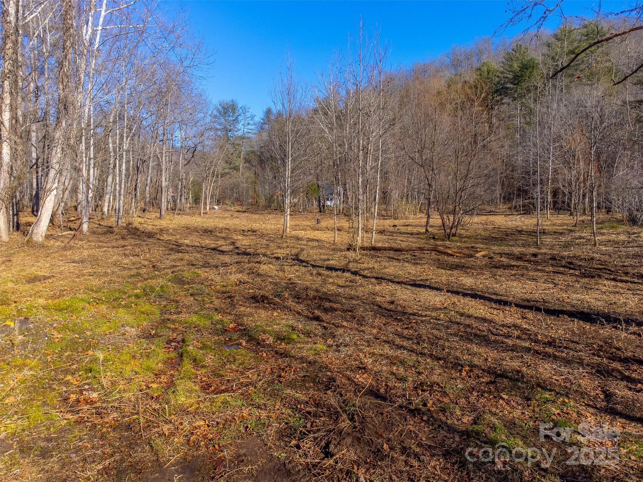 Lt 1,2,3 Caney Fork Road