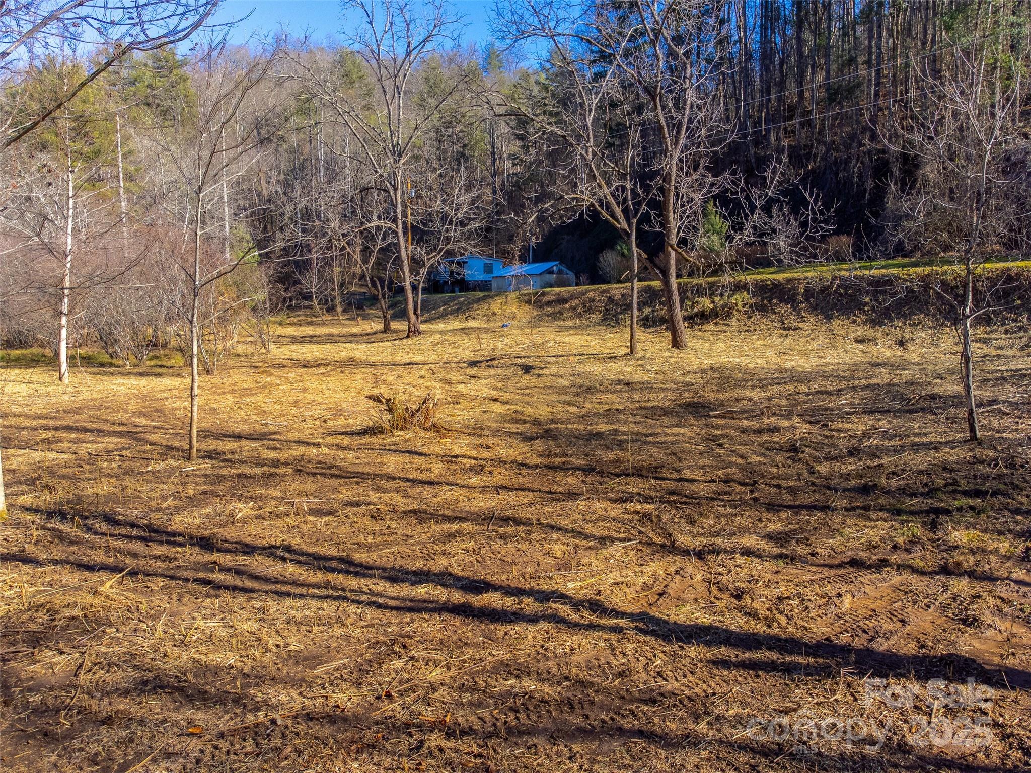Lt 1,2,3 Caney Fork Road