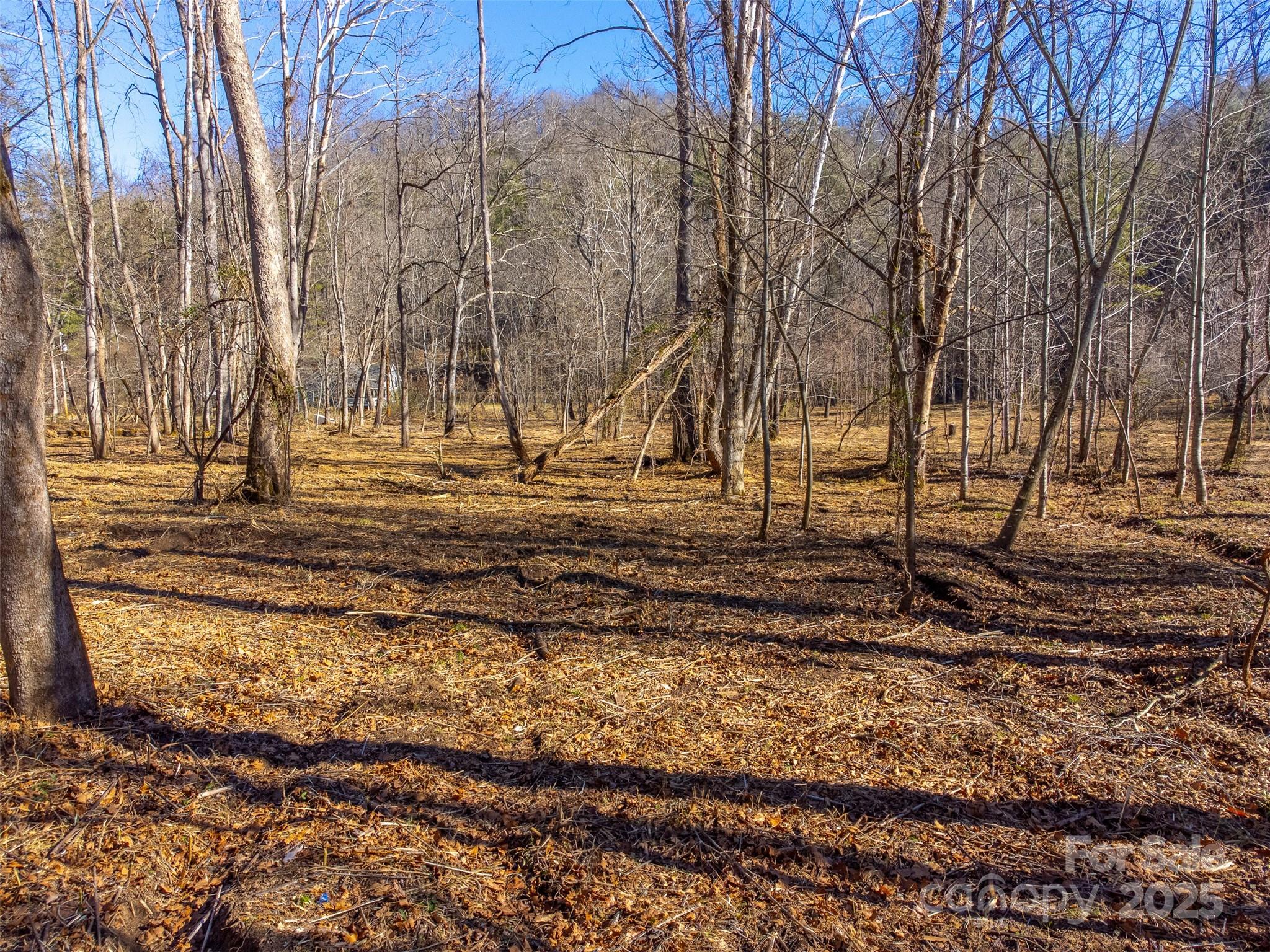 Lt 1,2,3 Caney Fork Road