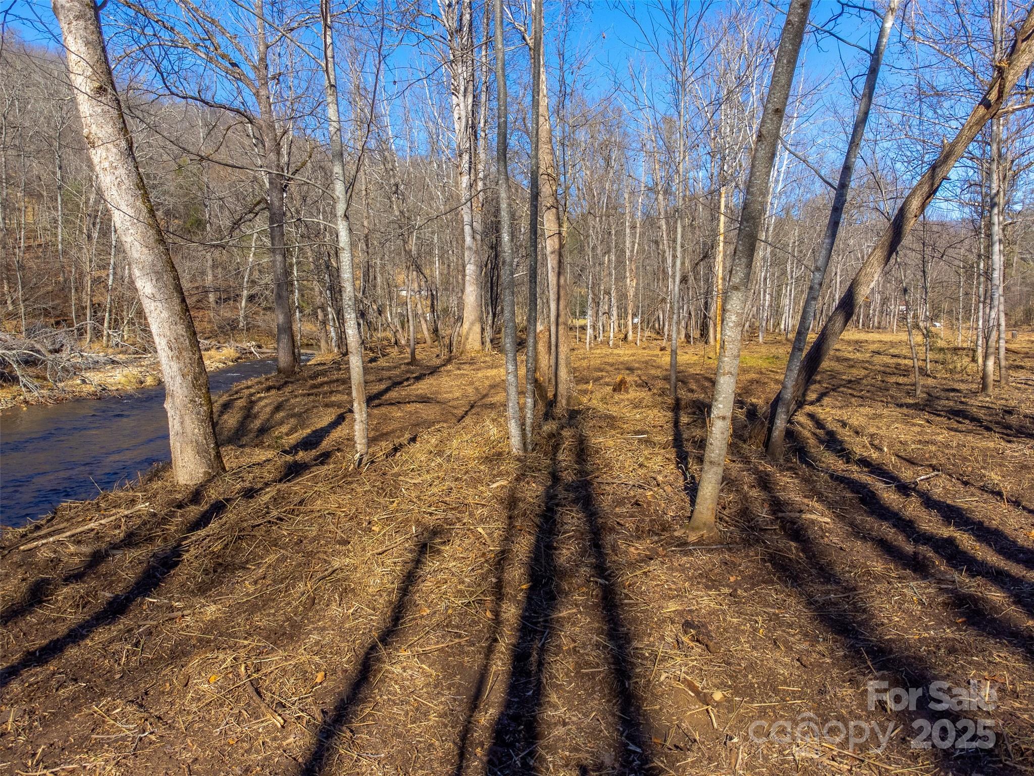 Lt 1,2,3 Caney Fork Road