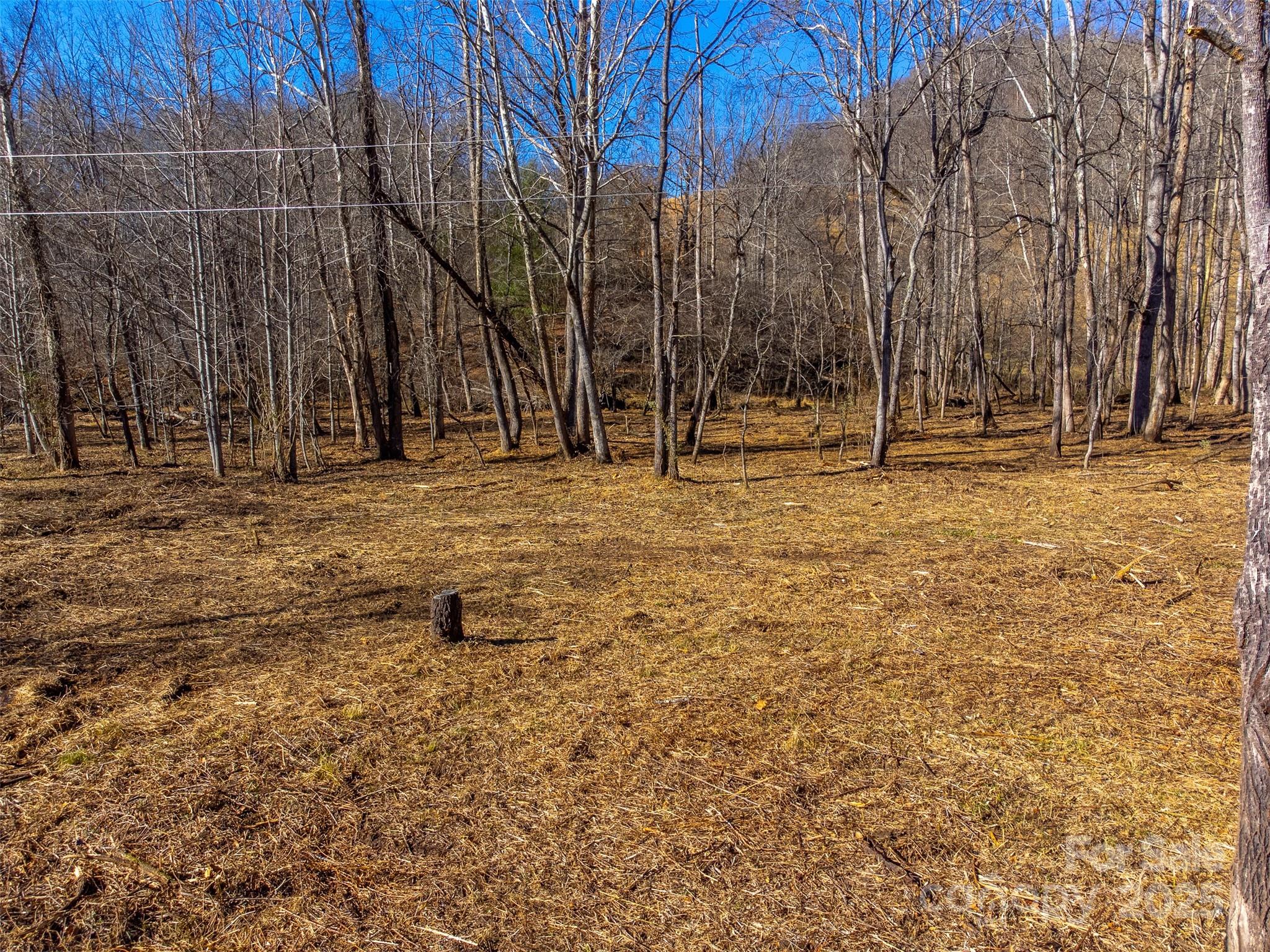 Lt 1,2,3 Caney Fork Road