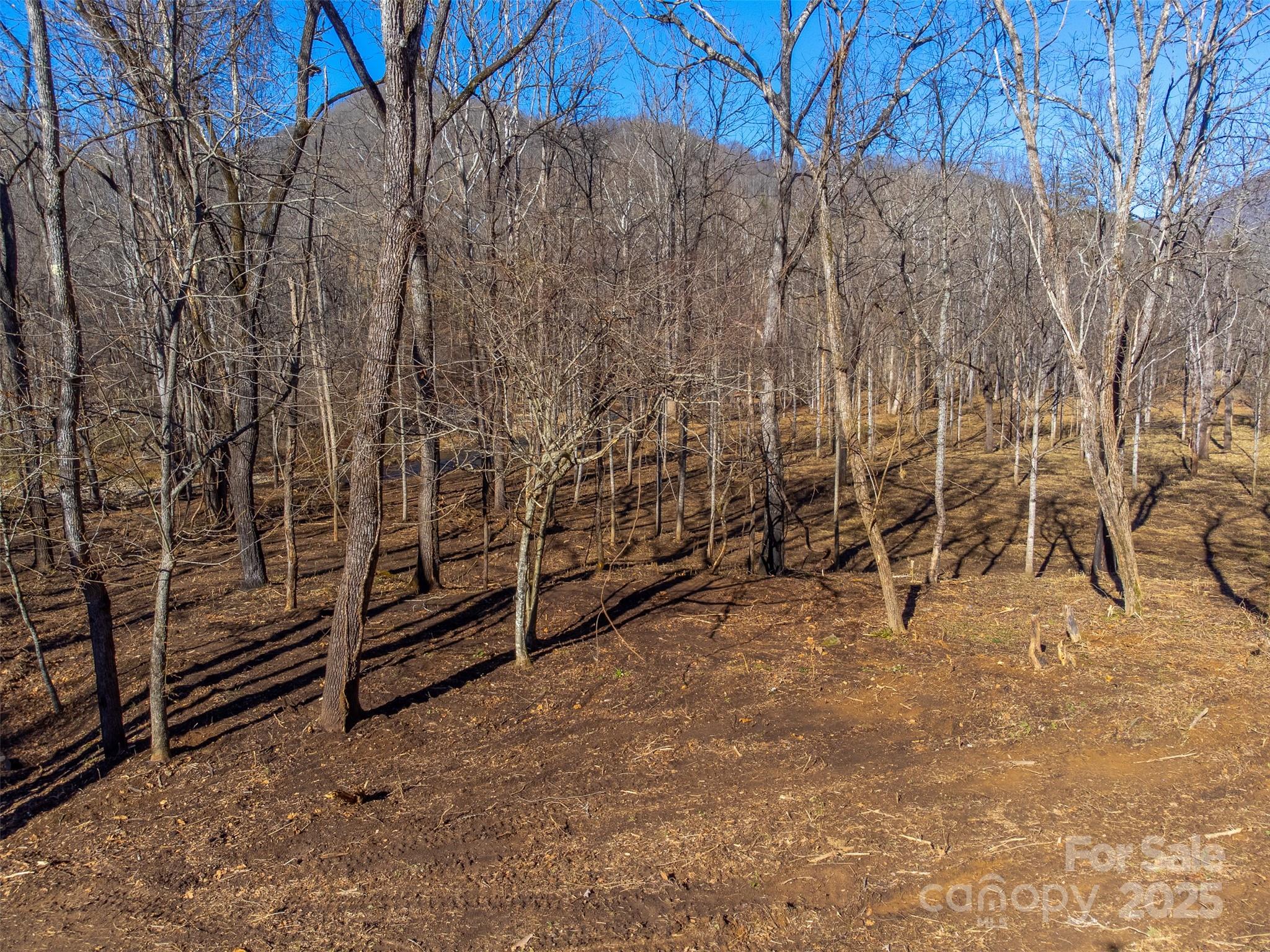 Lt 1,2,3 Caney Fork Road