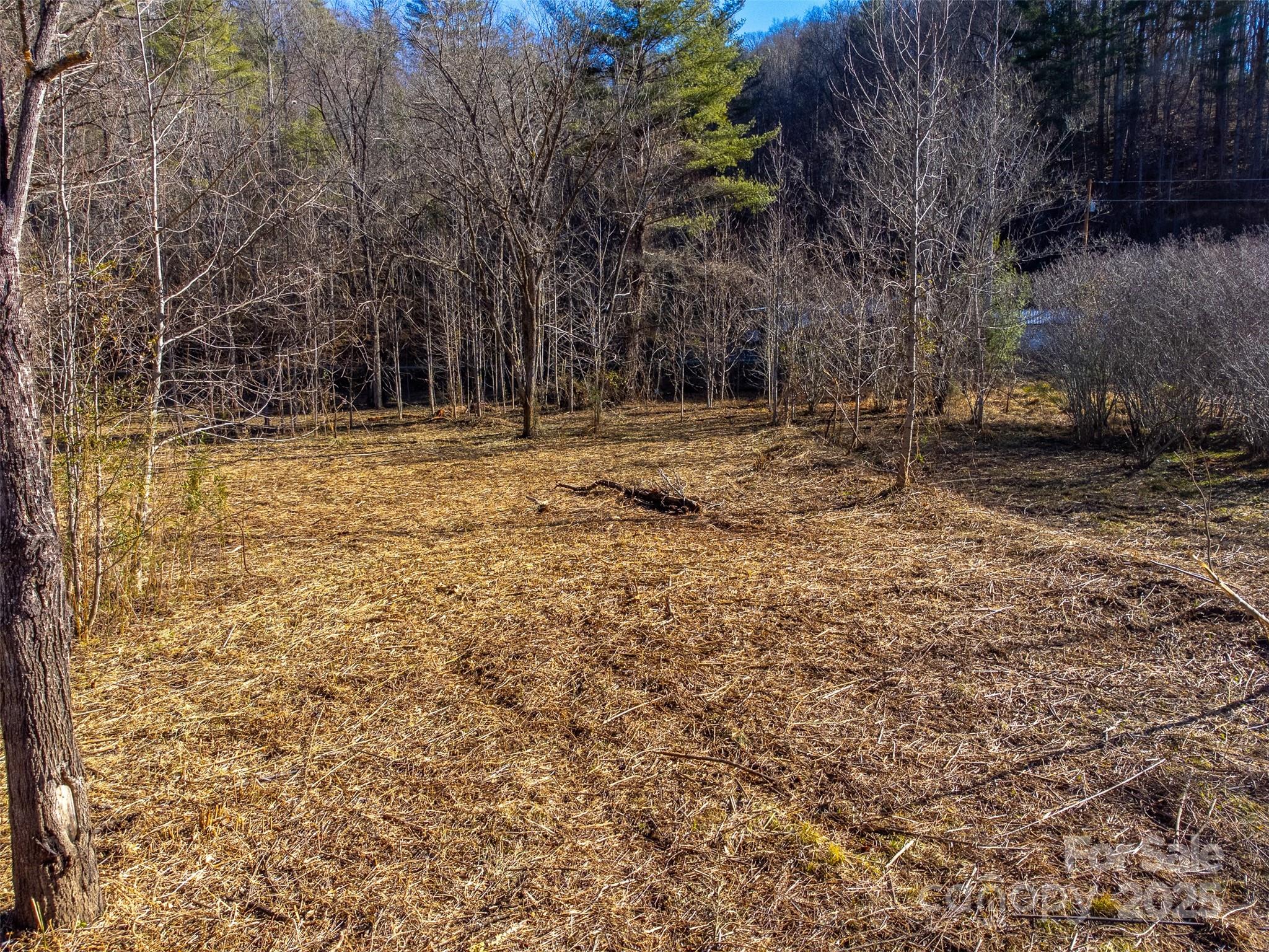 Lt 1,2,3 Caney Fork Road