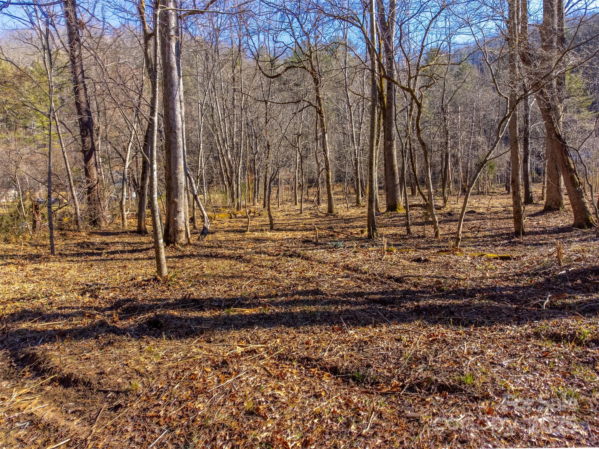 Lt 1,2,3 Caney Fork Road