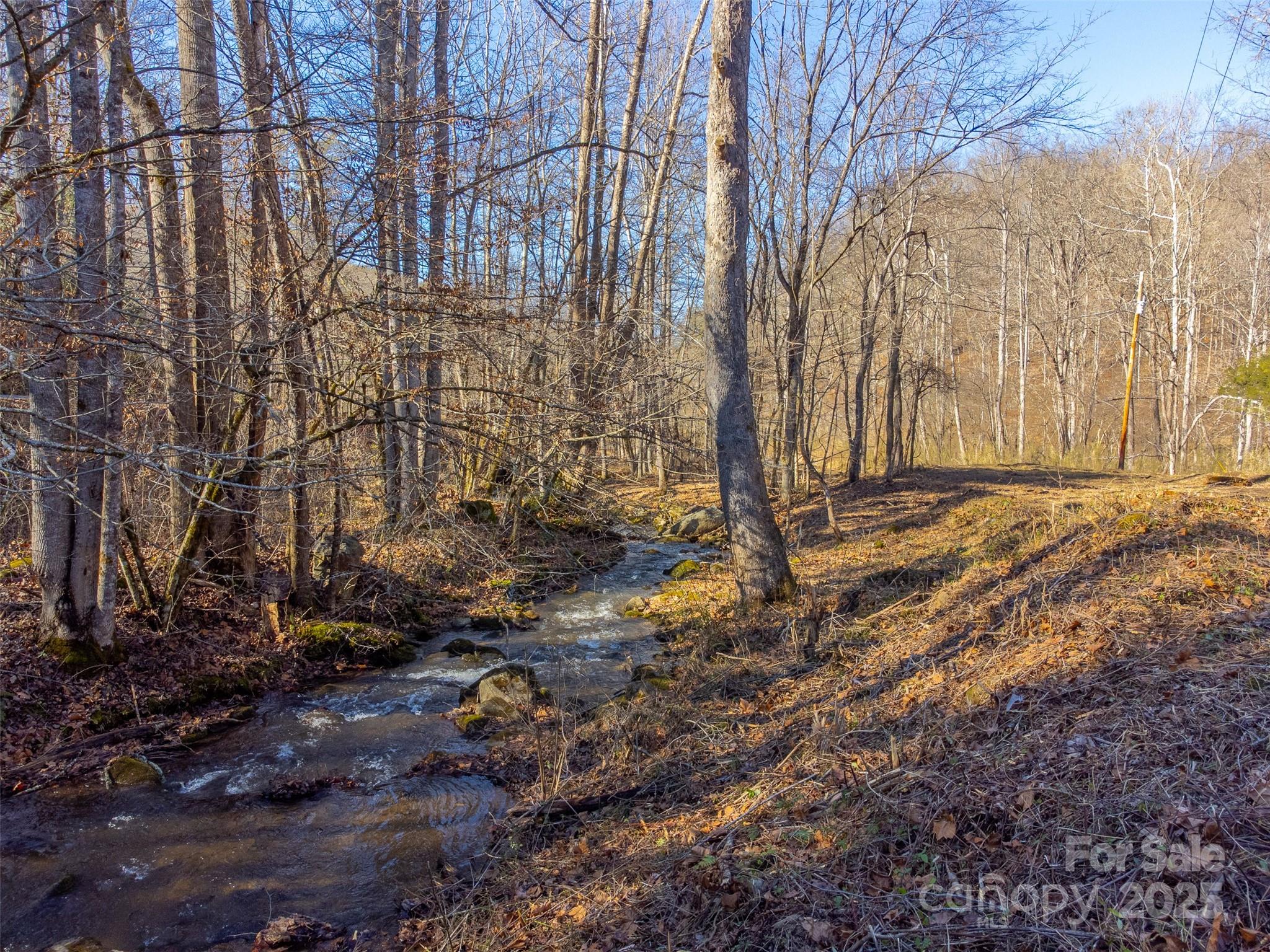 Lt 1,2,3 Caney Fork Road