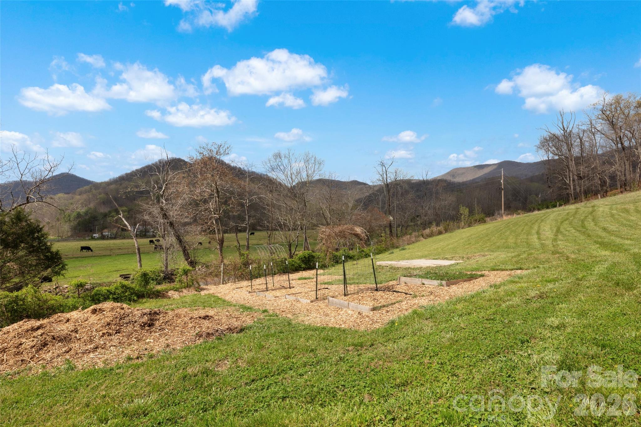 17 Boyd Cove Road
