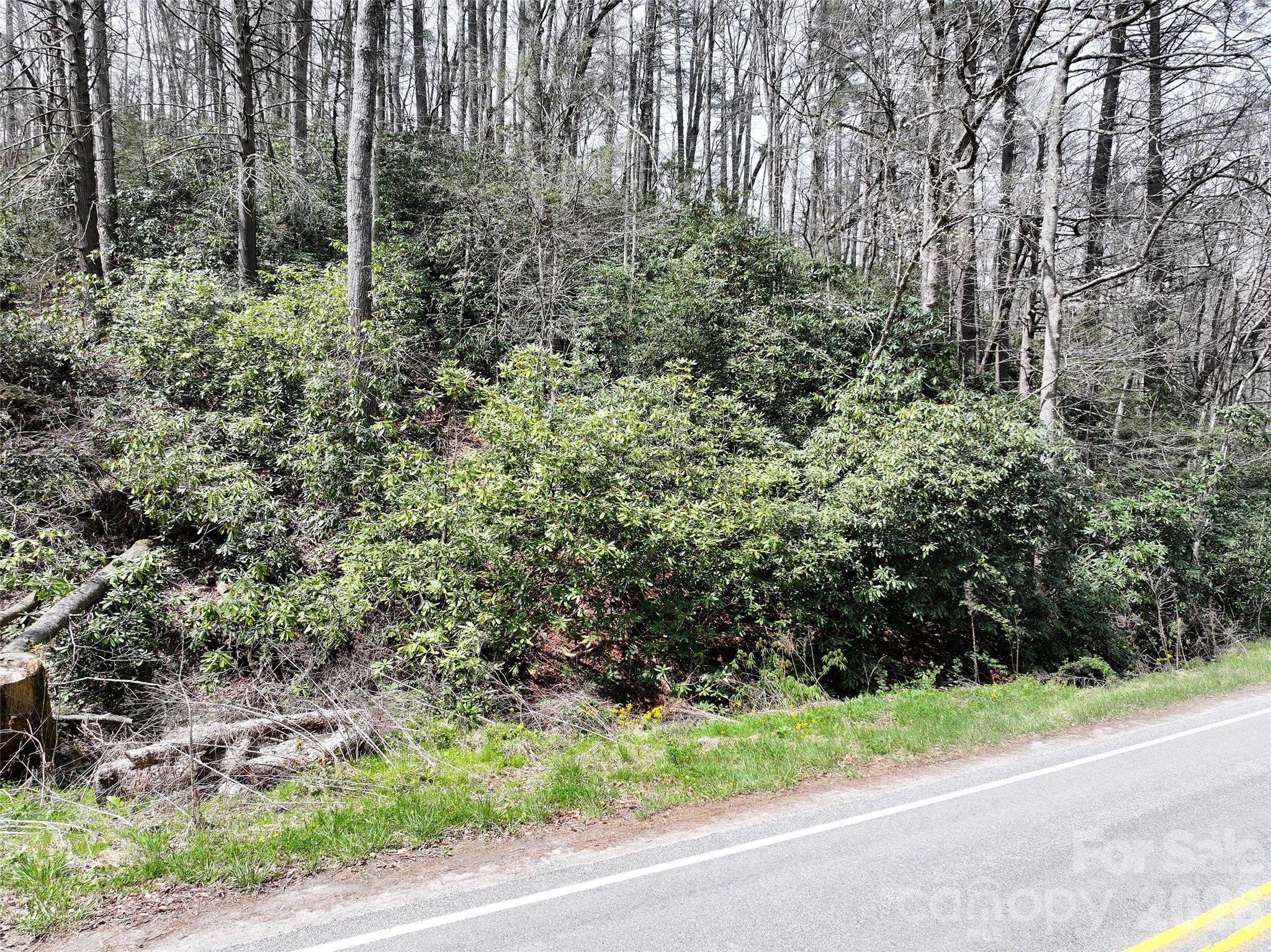 00 White Oak Road