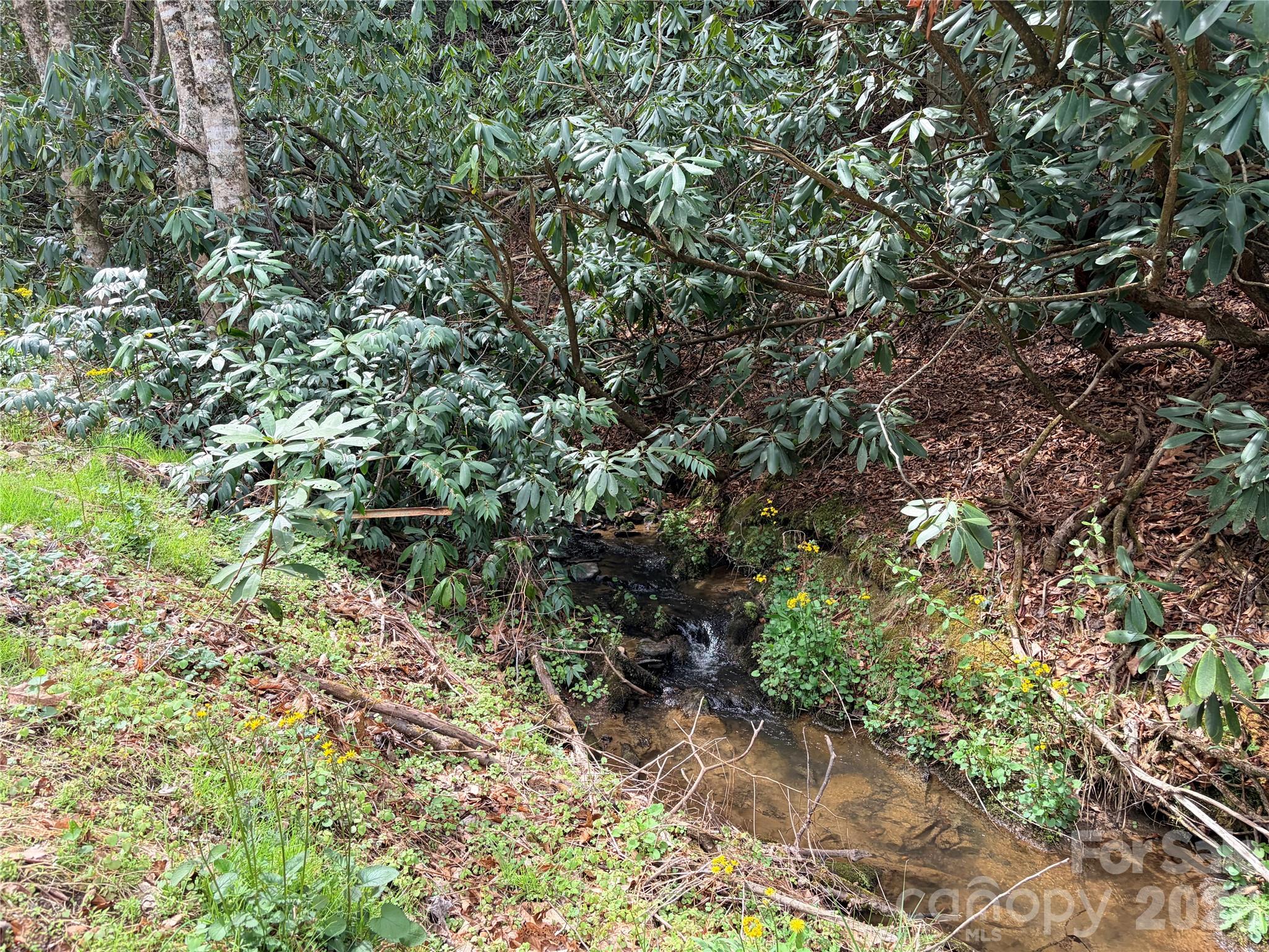 00 White Oak Road