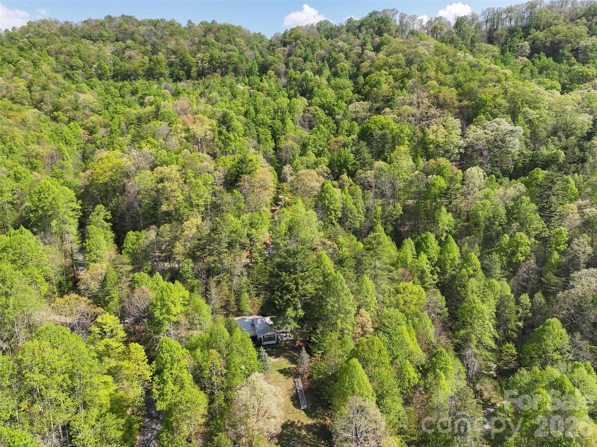 144 Bent Pine Drive