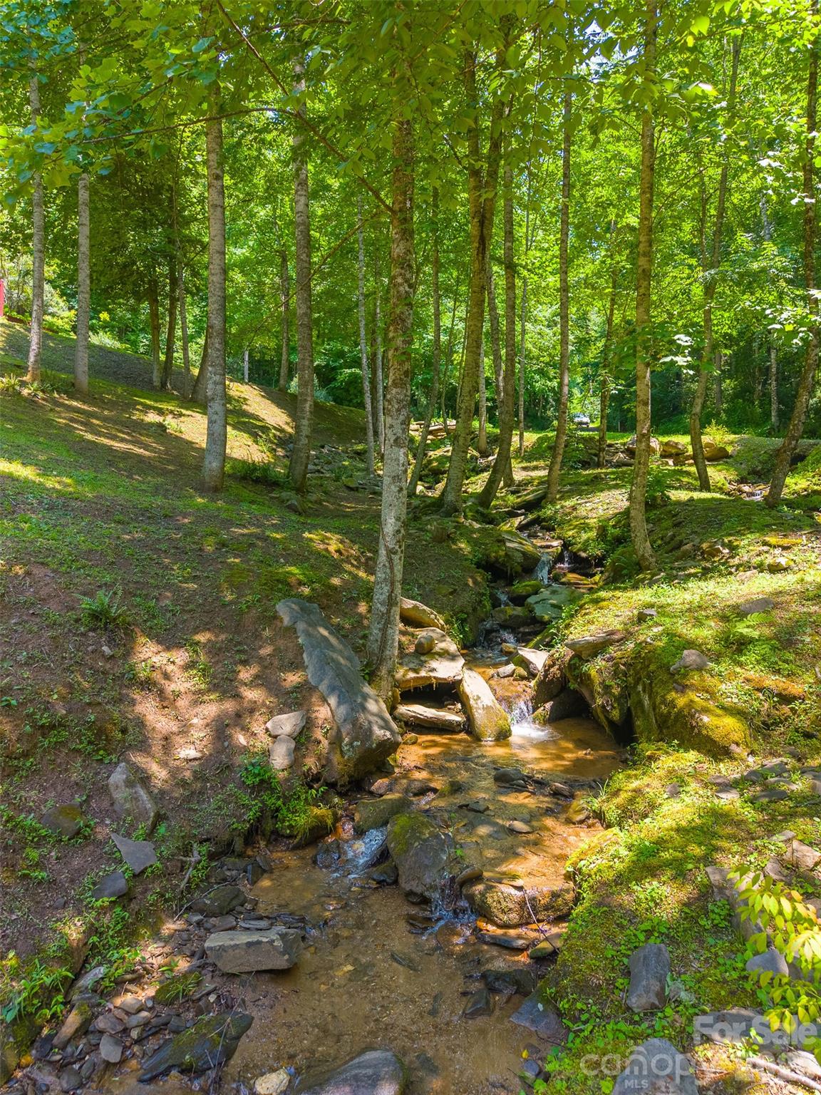 77 Pigeon Creek Trail