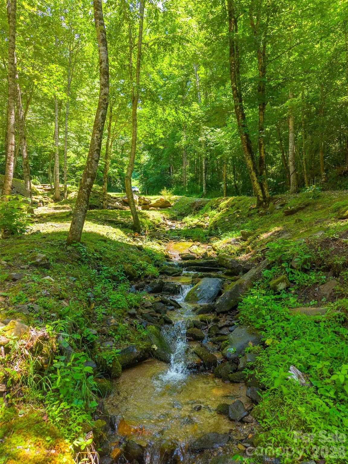 77 Pigeon Creek Trail