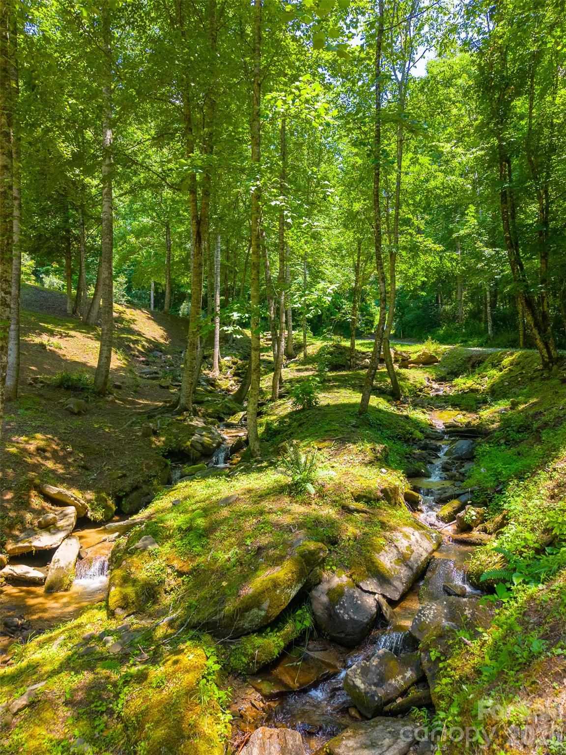77 Pigeon Creek Trail