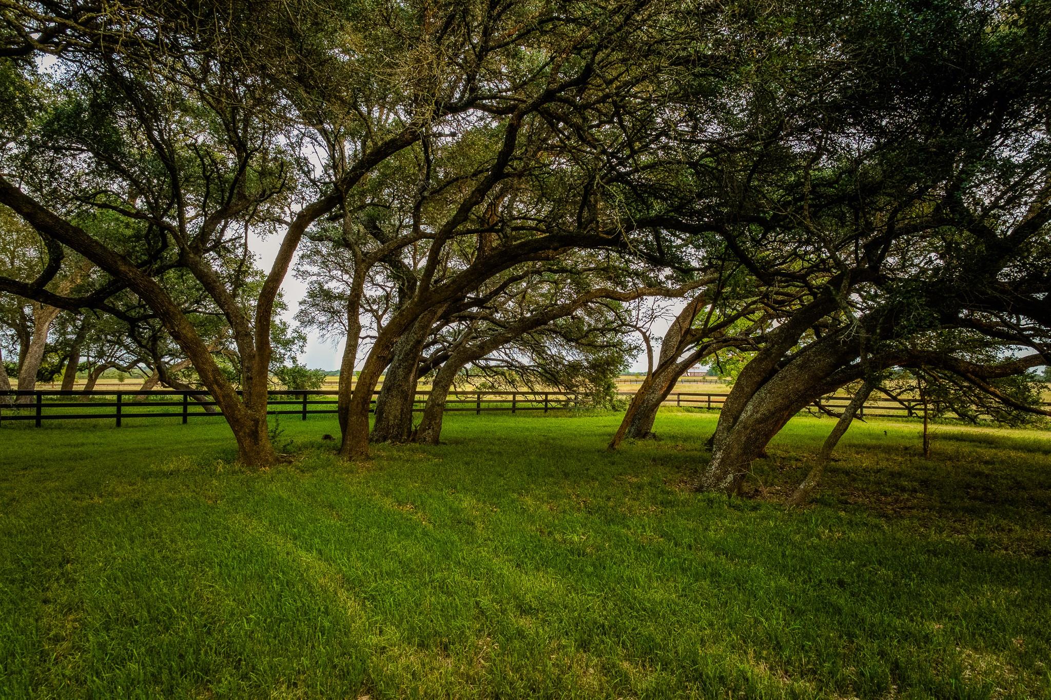 104 Hartfield Hill Ln