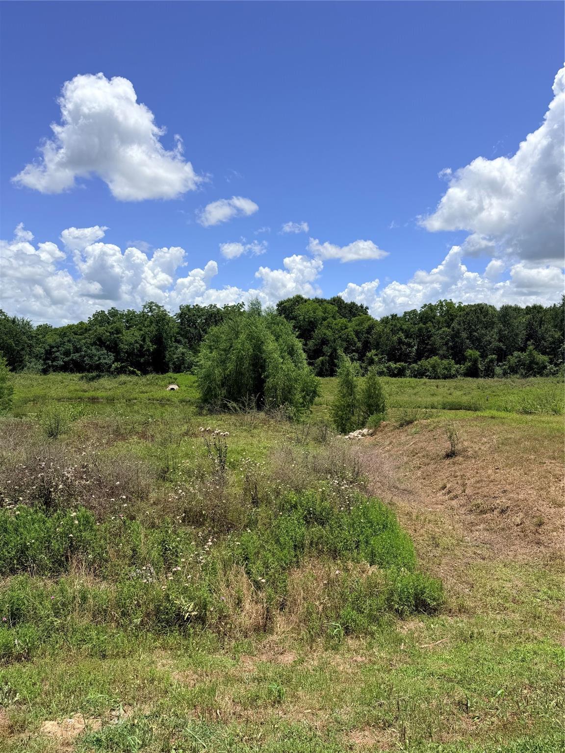 Lot 36 Winding Branch