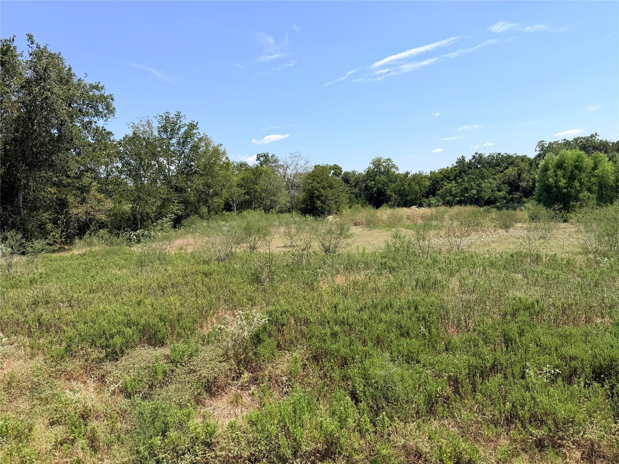 Lot 36 Winding Branch