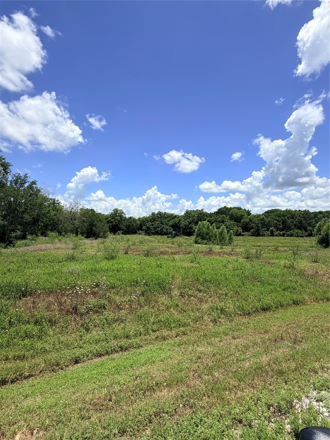 Lot 36 Winding Branch